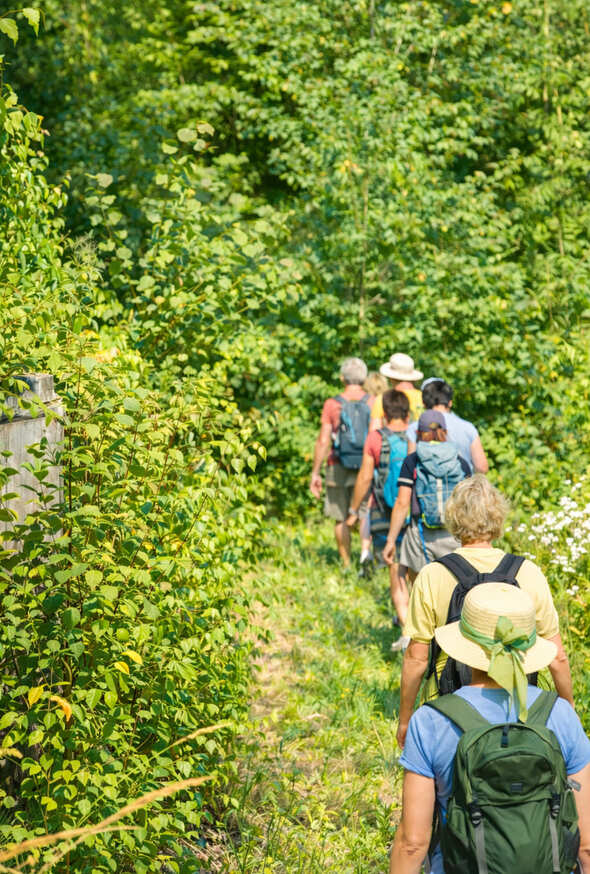 Kräuterwanderung in kleiner Gruppe – gemeinsam unterwegs in der Natur