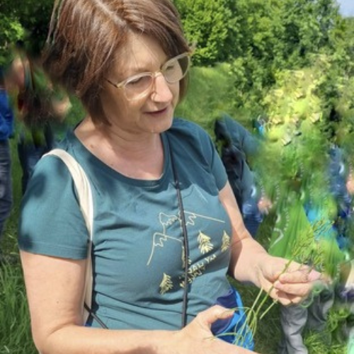 Kräuterwissen in der Natur – Olga Lebenbauer bei einer geführten Wanderung Olga Lebenbauer bei einer Wildkräuterwanderung – erklärt Pflanzenwissen im Gelände, symbolisch für praxisnahe Kräuterbegleitung